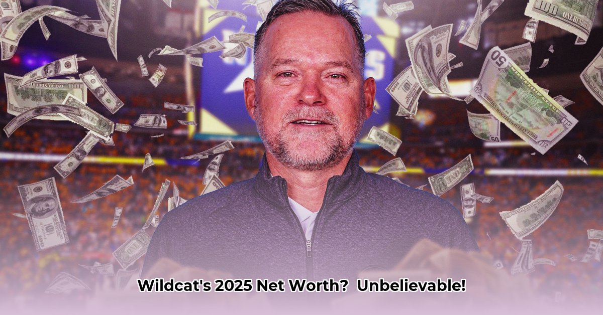 wildcat-net-worth
